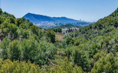 A beautiful villa in a peaceful, green setting.